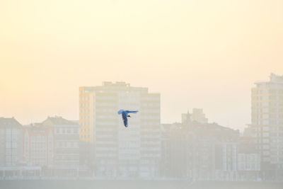 Buildings against clear sky in city