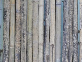 Full frame shot of wood