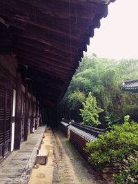 architecture