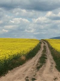 Dirt road passing through field