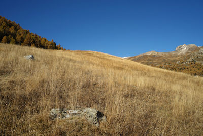 Scenic view of grassy field and mountain against clear blue sky 
