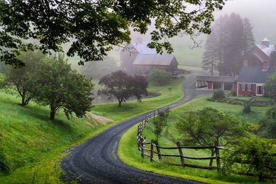 Road amidst trees on field against sky