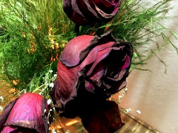 Close-up of multi colored flowers