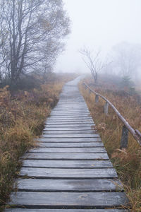 Footpath leading towards forest