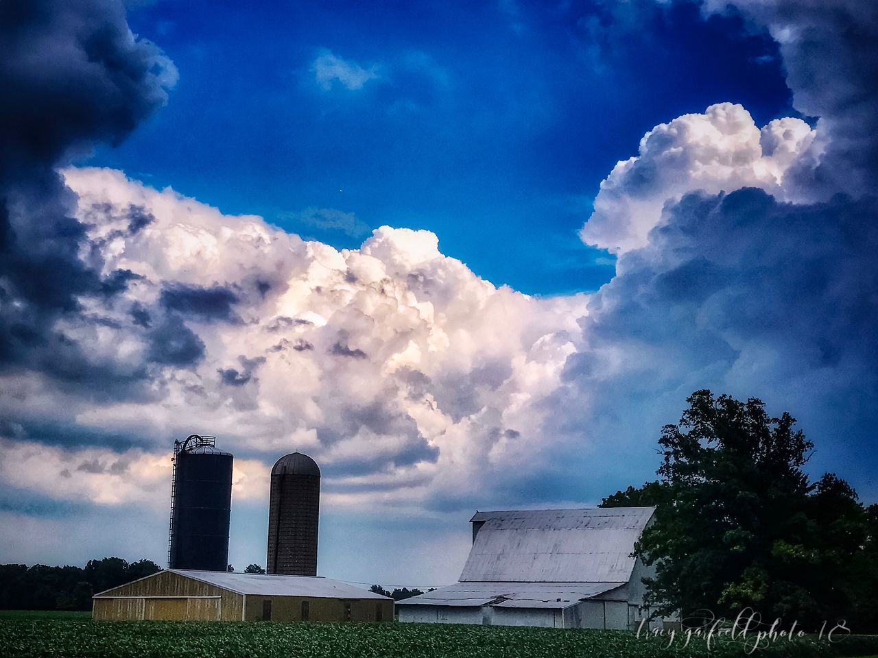 cloud - sky, sky, architecture, built structure, building exterior, plant, nature, day, no people, factory, industry, outdoors, low angle view, building, tree, silo, tall - high, tower, smoke stack, landscape, pollution