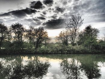 Reflection of trees in lake against sky