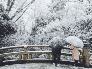 People standing by trees during winter