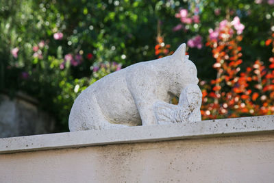 Close-up of statue