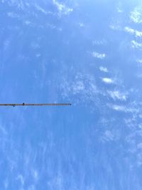 Low angle view of street light against sky