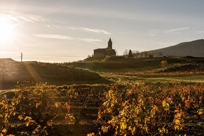 A wonderful sunrise on the camino de santiago in ventosa. december, 2019.