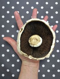 Directly above shot of person holding bread