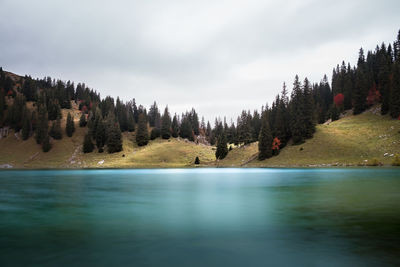 Scenic view of lake by trees against sky