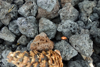 Close-up of rocks on rock