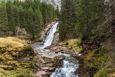 Scenic view of waterfall in forest