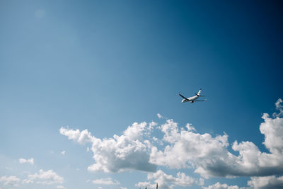 Low angle view of bird flying against sky