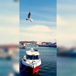 Boats sailing in sea