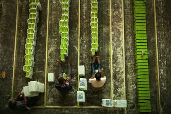 Close-up of people sitting on wall