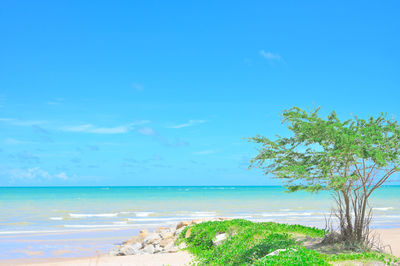 Scenic view of sea against blue sky