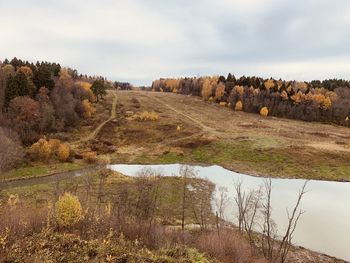 Trees on field against sky