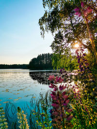 Scenic view of lake against clear sky