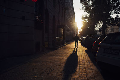 Rear view of man walking on street