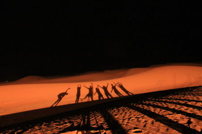 View of trees at night