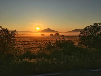 Scenic view of landscape against sky during sunset