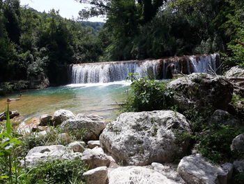 Scenic view of waterfall in forest