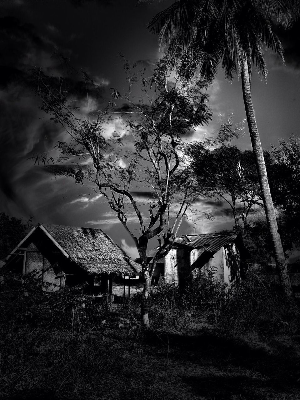 built structure, architecture, building exterior, sky, tree, house, cloud - sky, residential structure, nature, tranquility, bare tree, cloudy, no people, residential building, outdoors, growth, branch, dusk, plant, cloud