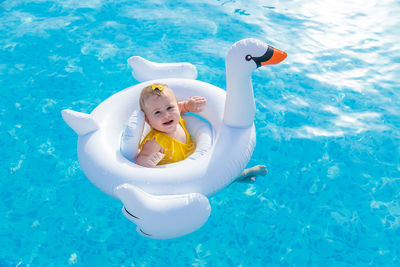 High angle view of cute baby sitting on inflatable swan in pool