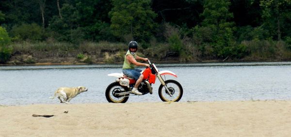 Dog chasing man riding motorcycle at beach