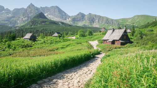 Beautiful alpine valley with old wooden huts surrounded by mountains, poland, eu