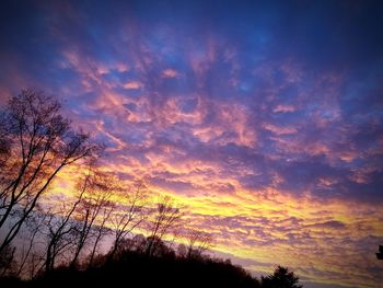 Low angle view of silhouette trees against dramatic sky