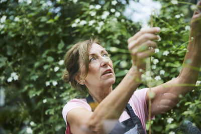 Senior gardener analyzing plants seen through glass