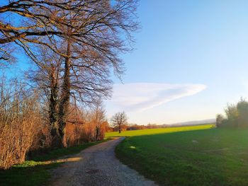 Road amidst trees on field against sky