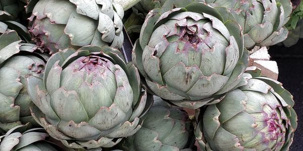 High angle view of vegetables for sale in market