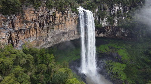 View of waterfall in forest