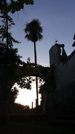 Low angle view of silhouette trees against sky