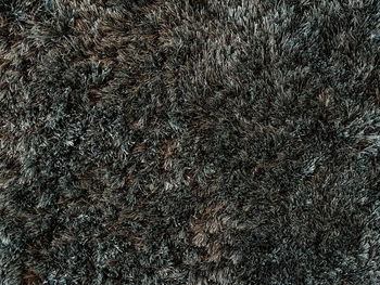 Full frame shot of rug