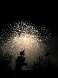 Low angle view of firework display at night