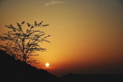 Silhouette trees and mountain during sunset