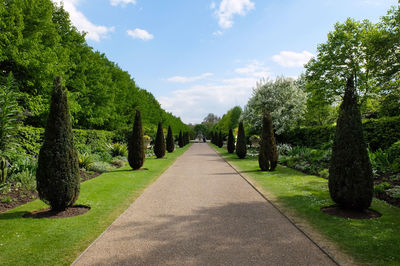 Walkway amidst trees against sky