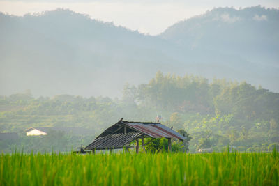 House on field against sky