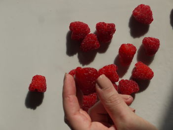 Close-up of hand holding strawberries