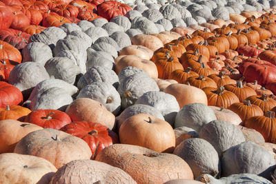 Full frame shot of pumpkins in market