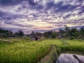 Scenic view of landscape against cloudy sky