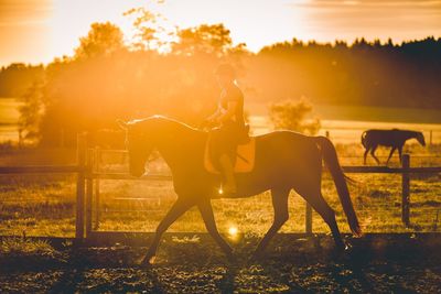 People riding horse in ranch against sunset sky