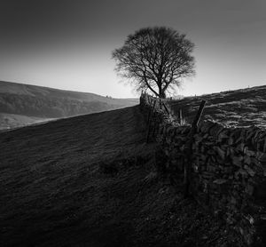 Bare tree on field against sky