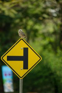 Road sign