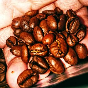 Close-up of roasted coffee beans